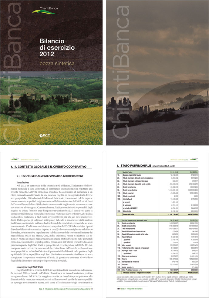 Bilancio di esercizio 2012